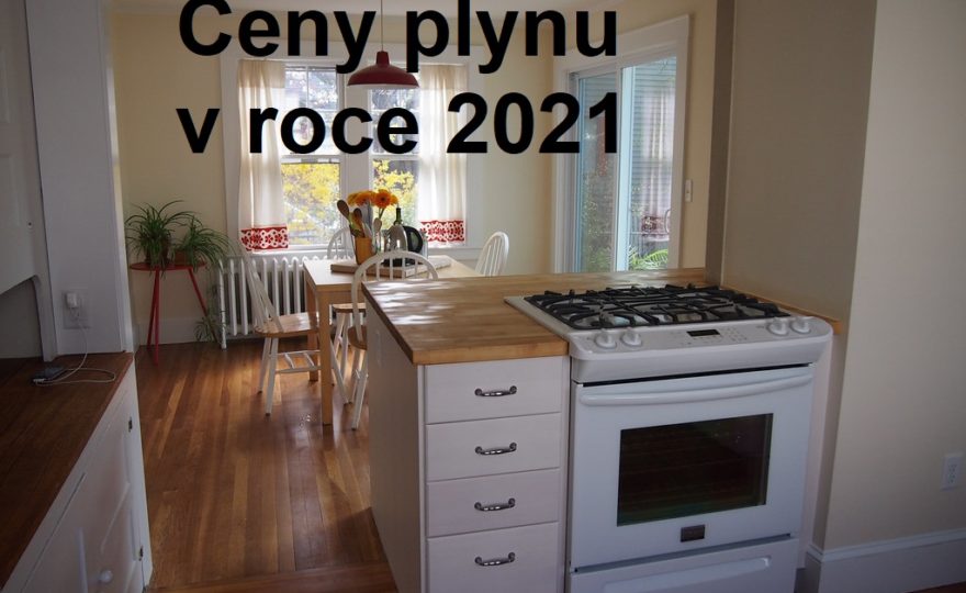 ceny plynu 2021